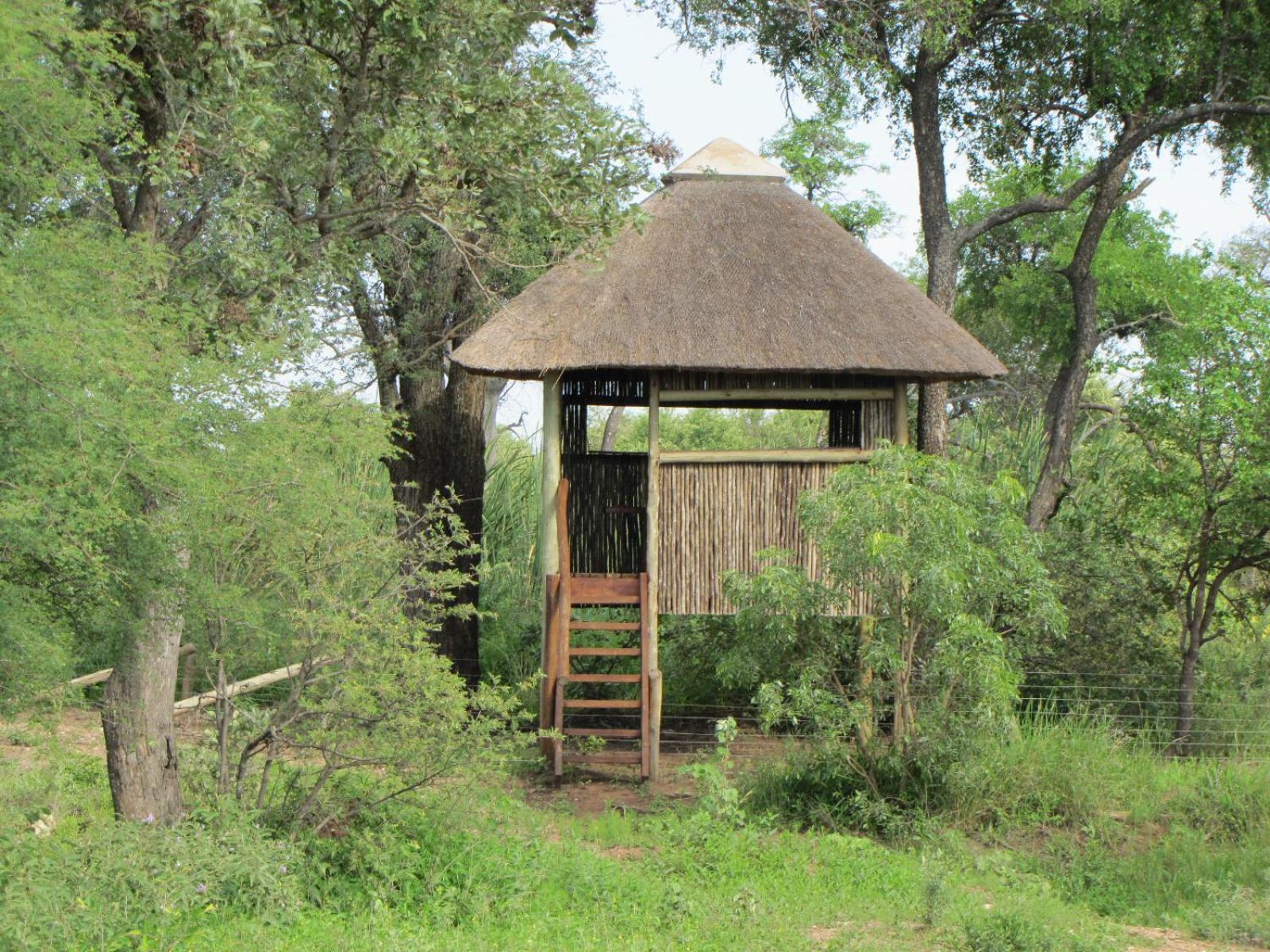 Lodge 54 Hoedspruit Zewnętrze zdjęcie